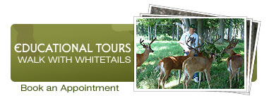 Educational Tours: WALK WITH WHITETAILS. Book a tour.